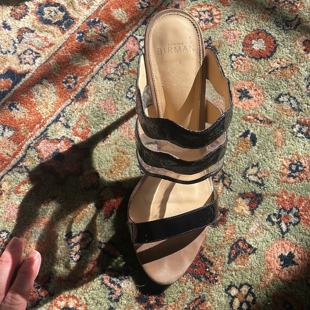 Alexandre Birman Python And Patent Stilettos - image 2